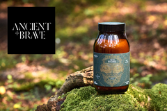 Ancient + Brave blog header image
