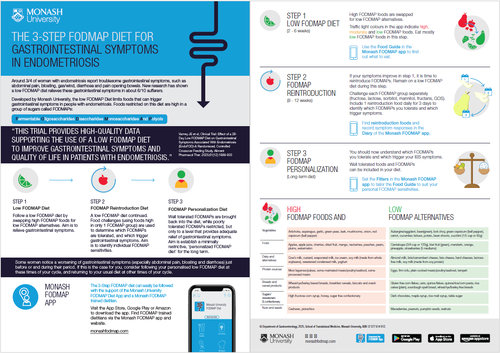 Endo 3 Step Flyer
