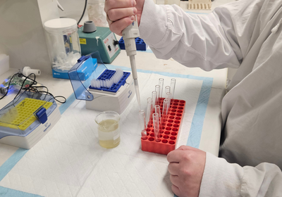Lab