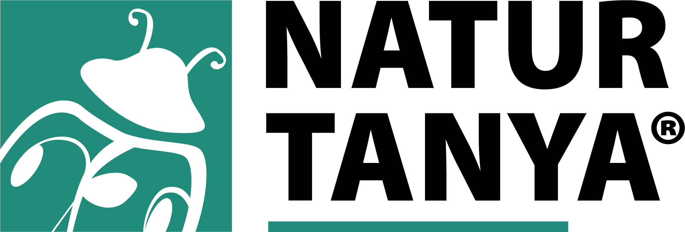 NT_logo_katicas_cmyk.original.jpg