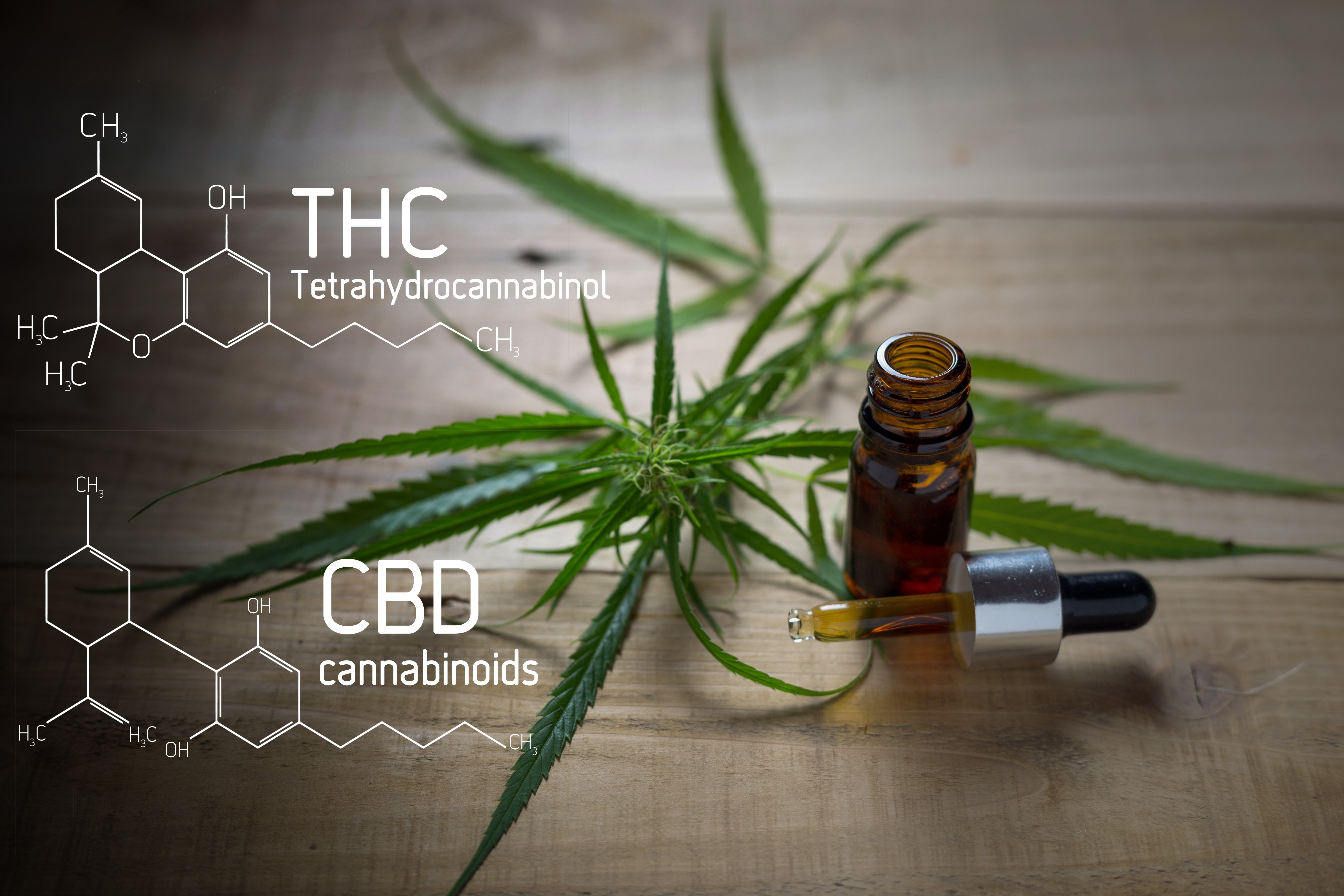 Cannabis And IBS Monash Fodmap