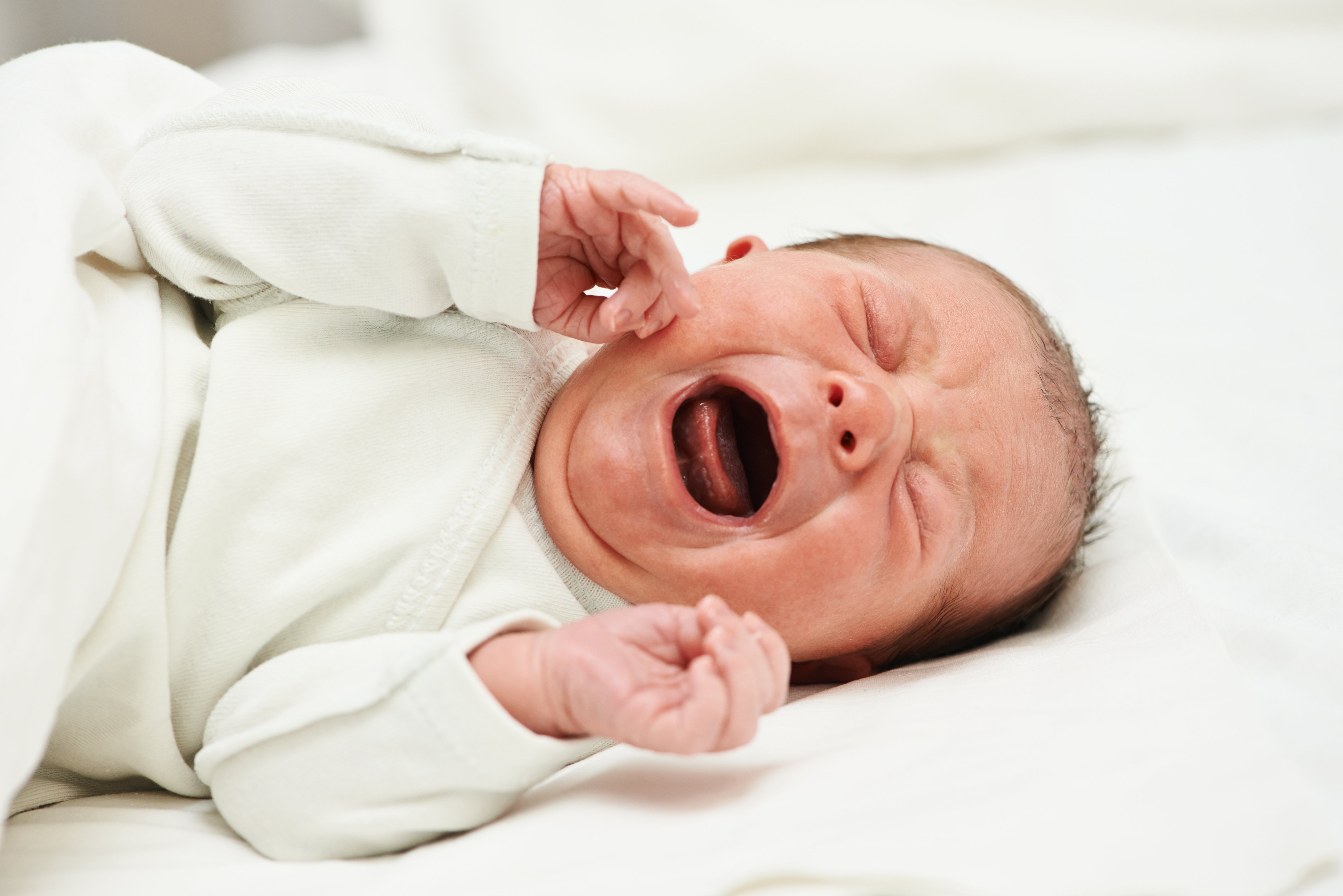 Baby Colic What Does It Matter A Blog Post By Monash FODMAP The 
