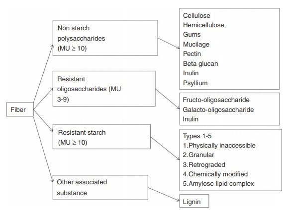 Figure 1. Example of fibre subtypes, classified by degrees of polymerisation. Source: OGrady 2019