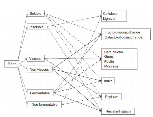 Figure 2. Overlapping properties of fibre by solubility, viscosity and fermentability. Source: OGrady 2019